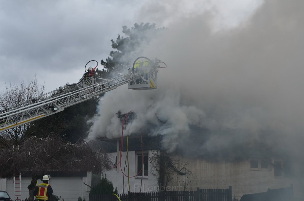 Feuer 5 Roesrath Am Grosshecker Weg P1261.JPG - Miklos Laubert